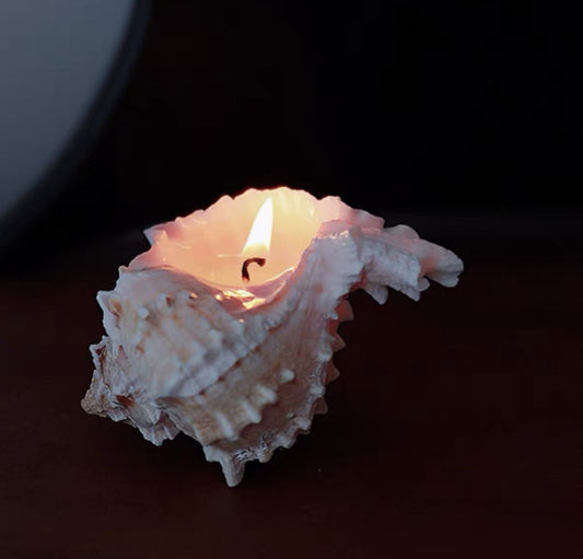 Conch Shell Candle