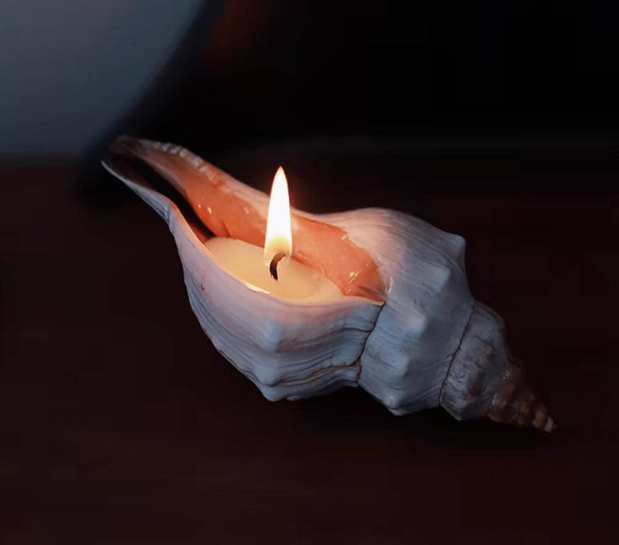 Whelk Shell Candle