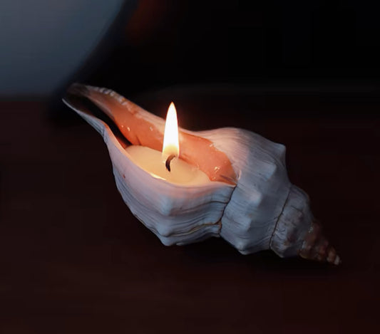 Whelk Shell Candle